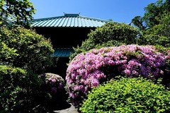 150503�Ѿ����ĥĥ�