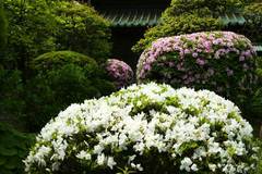 100504�Ѿ����ĥĥ�