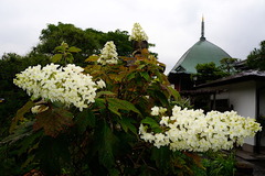 170613�ܳл���������1