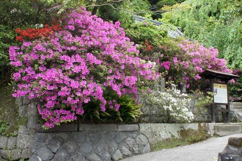 110505�¹������ĥĥ�2