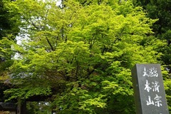 150412�߳л�����1