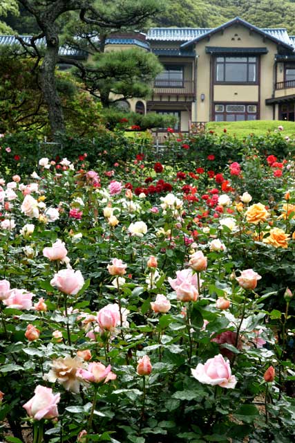 090517����ʸ�شۥХ�