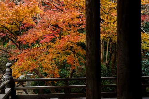 121217̯�ܻ�����1