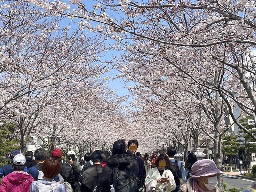 250405�ʳ륵����