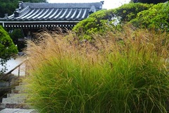 131002���ܱ�������