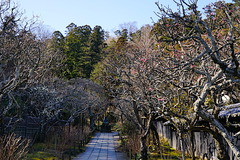 200210Åì·Ä»û¥¦¥á