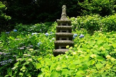 140602Ĺë����������2