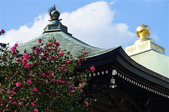 151112Ĺ����������