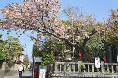 160419Ȭ�����ҥ䥨������