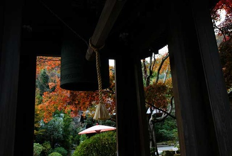 101123��¢������2