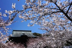 120407��Ĺ��������3