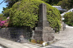 160419���ܱ��ĥĥ�