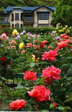 100519����ʸ�شۥХ�3