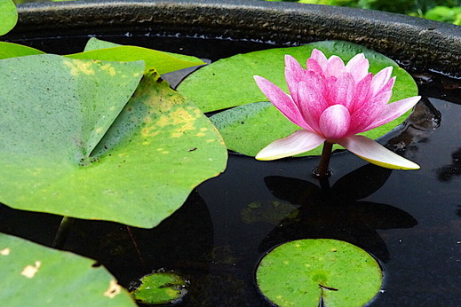 200730�������������