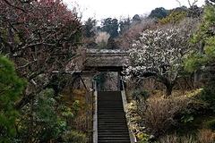 180226Åì·Ä»û¥¦¥á4