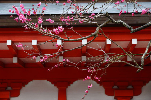 130207����ŷ������2