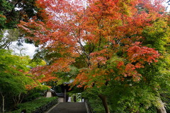 151122�߳л�����1