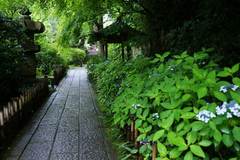 100619�¹�������������2