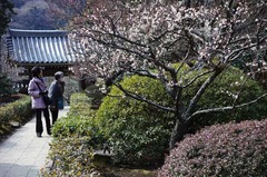 120228��̯������2