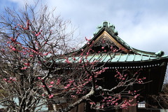 150221��¢������2