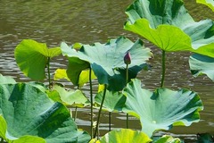 130710�������ϥ�1