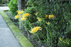 080906�߳л��ҥ���Х�