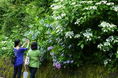 100623�߳л���������2