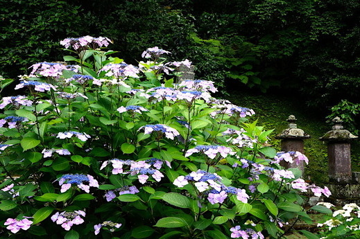 230605̯�ܻ���������1