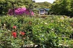 110514ʸ�شۥХ�