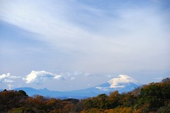 141207��Ĺ��Ⱦ��˷����