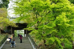 120420�߳л�����