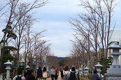 190322Ãʳ륵¥¯¥é1