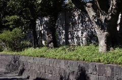 110924ȬȨµÜ¥Ò¥¬¥ó¥Ð¥Ê