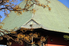 211211�ܳл��������2