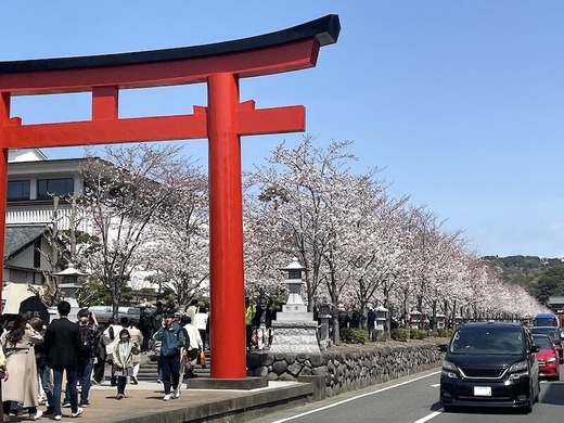 250405�ʳ륵����2