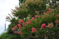 130804�ܳл����륹�٥�1