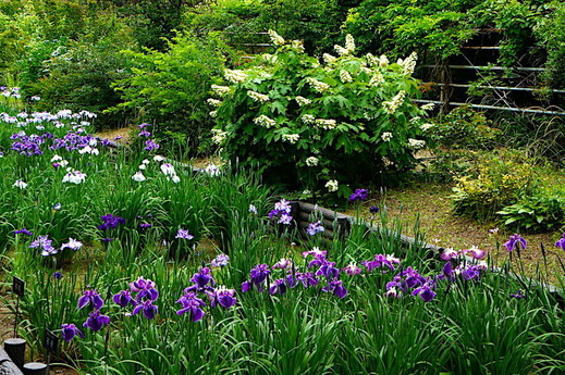 190605�����ե����󥿡��ϥʥ��祦��