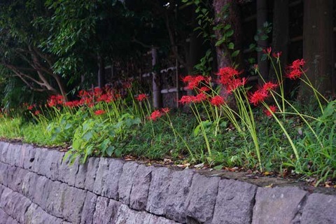 100925�ᲬȬȨ�ܥҥ���Х�