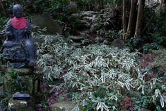 110129������