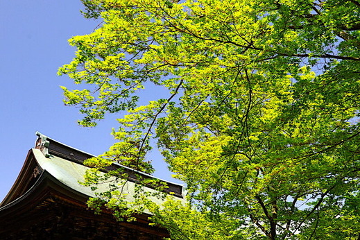 230412�߳л�����3