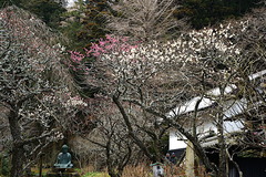 180226Åì·Ä»û¥¦¥á1