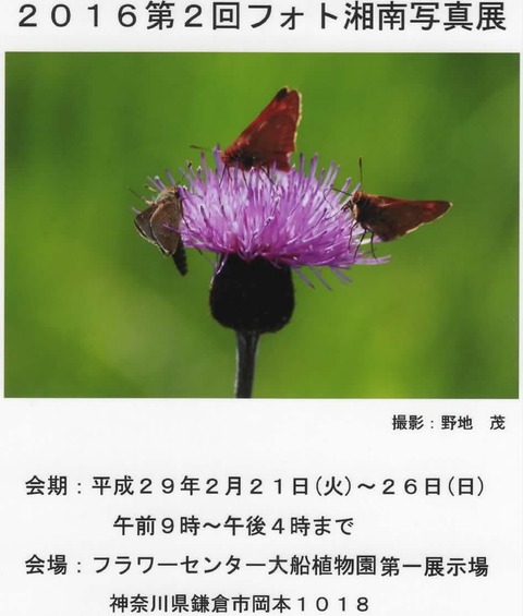 170215�̿�Ÿ����