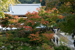 101120�߳л�����5