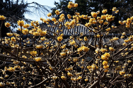 170305���һ��ߥĥޥ�