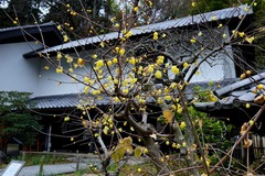 140108��Ļ������Х�1