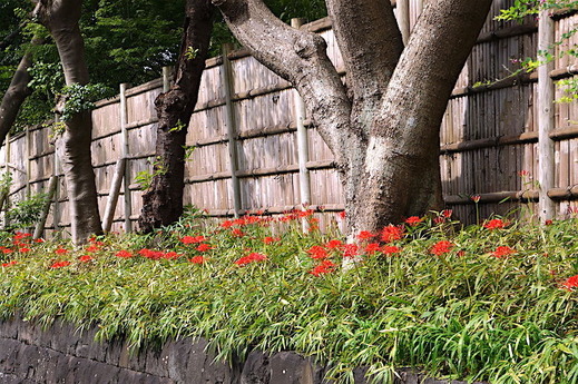 160926�ᲬȬȨ�ܥҥ���Х�1