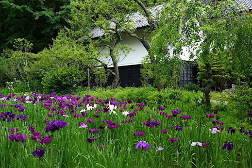 170608��Ļ��ϥʥ��祦��