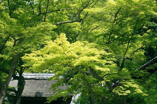 110521�߳л�����1