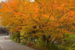 141224̯�ܻ�����5