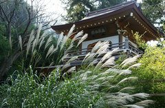 081013���һ�������1